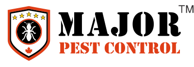 Major Pest Control
